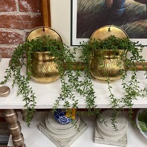 Gold Wall Planters with Greenery